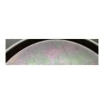 PARKER 9109061 AIR BELLOWS DOUBLE 14.1/2x2 - Afbeelding 5