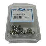 ALGI 07014606 BLI.10 M6x100 - Afbeelding 2