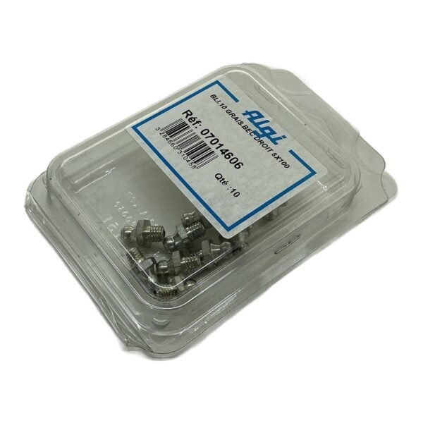 ALGI 07014606 BLI.10 M6x100