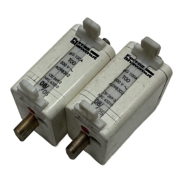 FERRAZ SHAWMUT T00 A098302 500VAC gG 100A