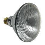 PHILIPS PAR38 FLOOD 30D 923810144207 - Afbeelding 3