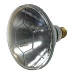 PHILIPS PAR38 Spot 120W  1545lm 24V E27 10SP 2700K