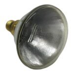 RADIUM PAR 38-EC 120W 12 E27 230V 13902 - Afbeelding 2