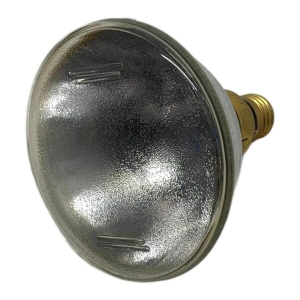 RADIUM PAR 38-EC 120W 12 E27 230V 13902