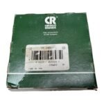 CHICAGO RAWHIDE 24931 - Afbeelding 3