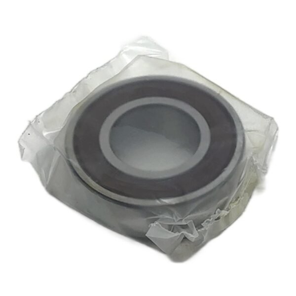 NSK 6003DDUCM